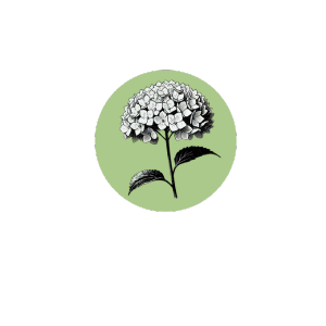 Hortensia
